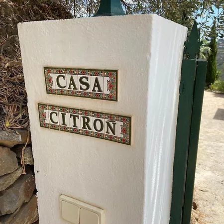 Casa Citron Malaga