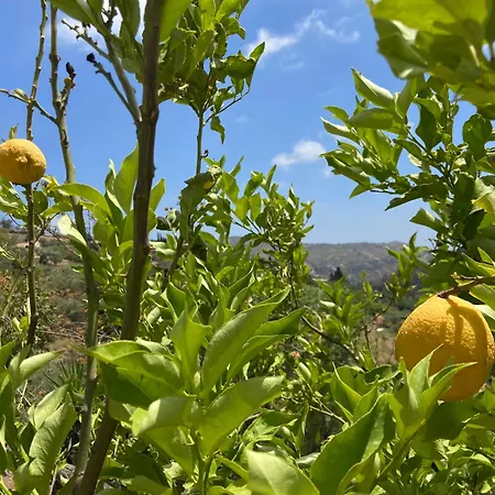 Casa Citron בית נופש מאלגה