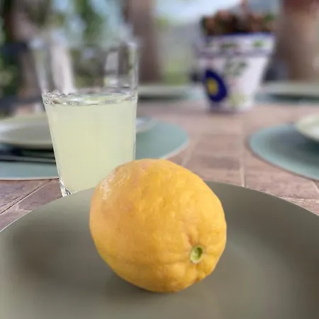 Casa Citron Дом отдыха Малага